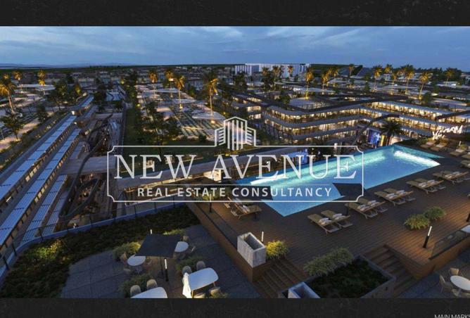 8163858 - Property Image 2