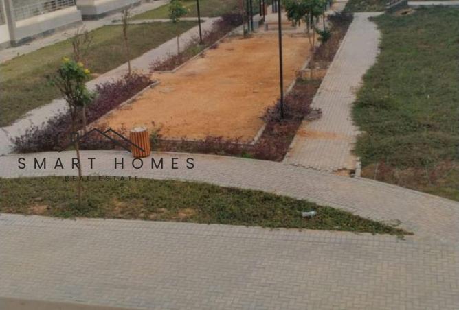 8499821 - Property Image 2