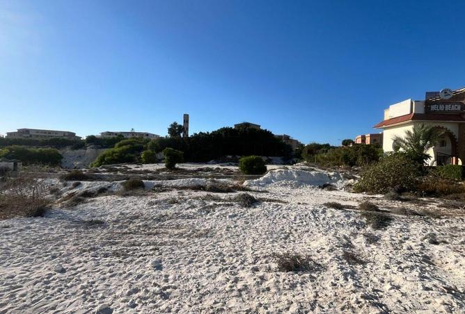 8386407 - الصورة الرئيسية للعقار