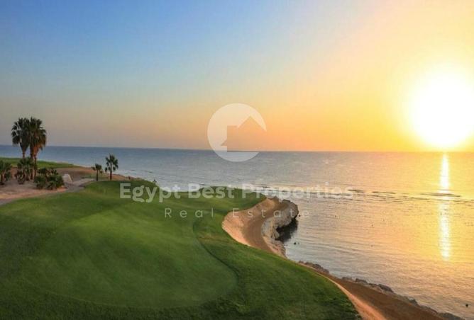 7923616 - صورة العقار 3