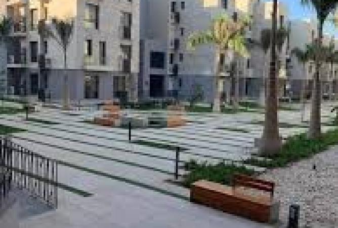 7947804 - Property Image 3