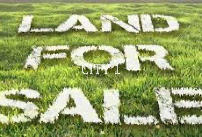 8266318 - صورة العقار 3