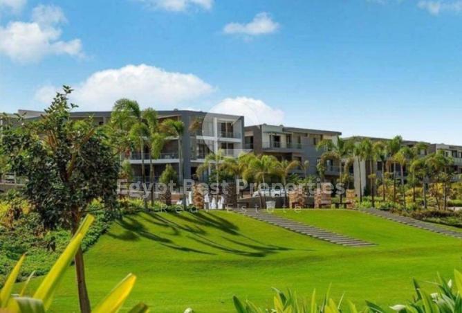 8177069 - Property Image 3