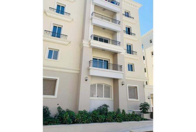 8428412 - Property Image 3