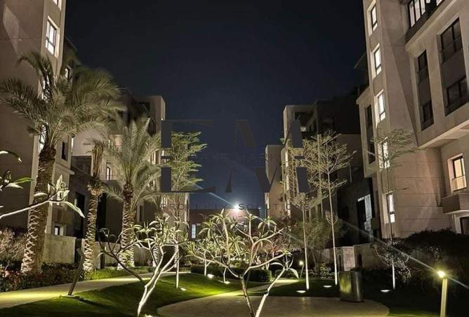 8002817 - صورة العقار 2