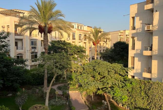 8105932 - الصورة الرئيسية للعقار