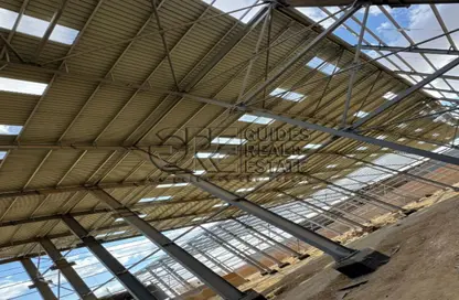 Factory - Studio - 7+ Bathrooms for rent in Cairo Alexandria Desert Road - 6 October City - Giza