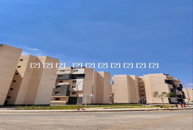7977376 - صورة العقار 3