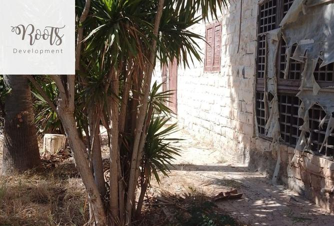 8495296 - صورة العقار 3