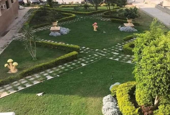 7892572 - صورة العقار 2