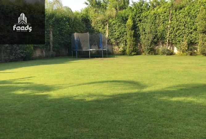 8502848 - صورة العقار 2