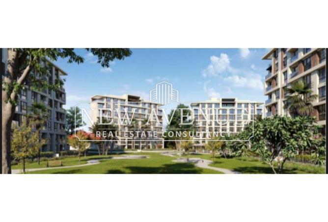 8020841 - Property Image 3
