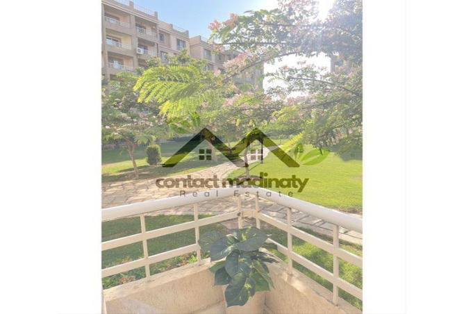 7980806 - Property Image 3