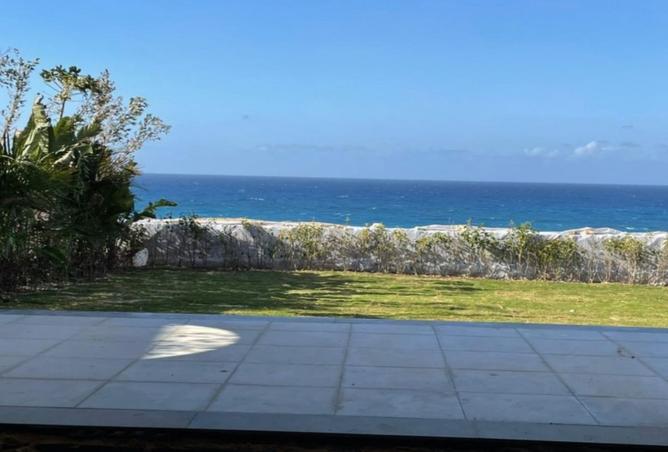 8234974 - صورة العقار 3