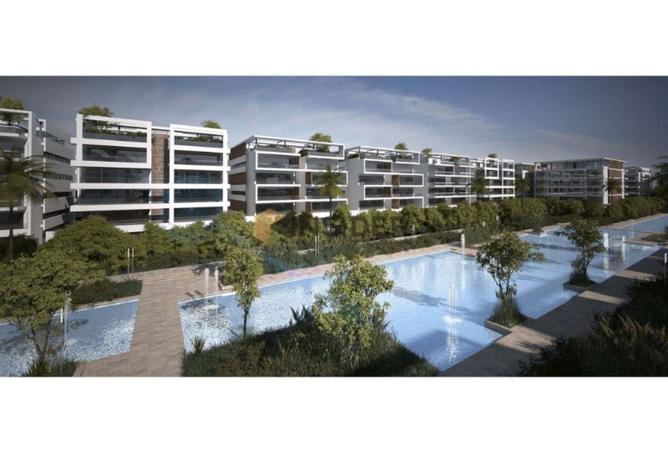 8193598 - Property Image 2