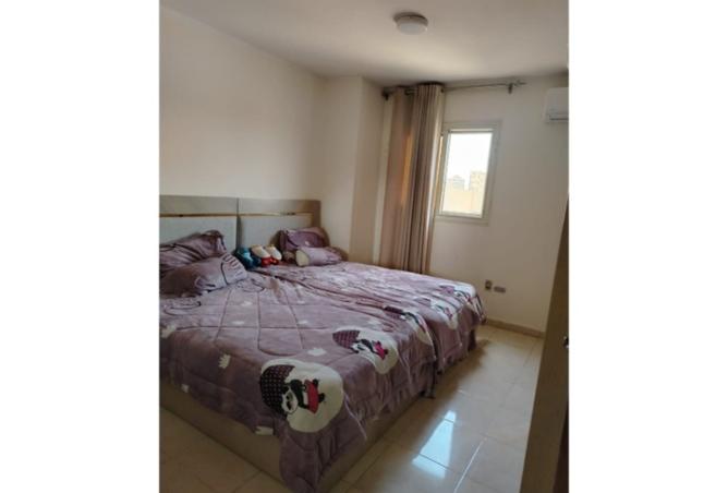 8551601 - Property Image 2