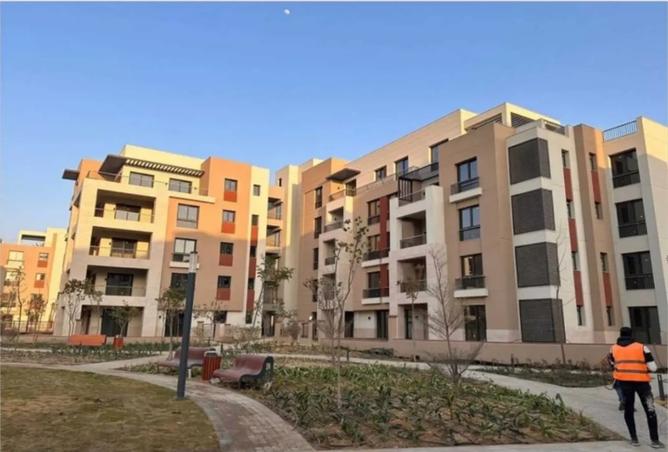 8331942 - Property Image 2