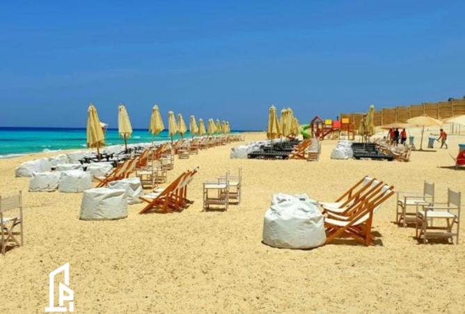 8204445 - Property Image 3