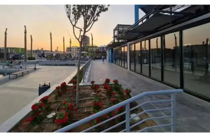 Apartment - 3 Bedrooms - 3 Bathrooms for rent in Mivida - 5th Settlement Compounds - The 5th Settlement - New Cairo City - Cairo