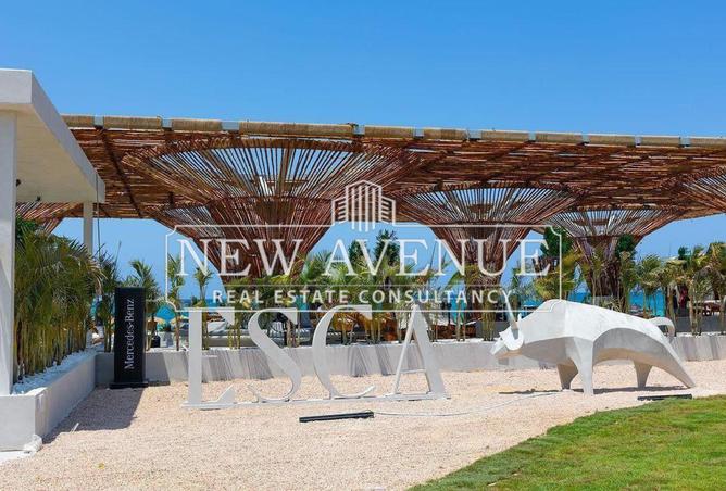 8178331 - Property Image 2