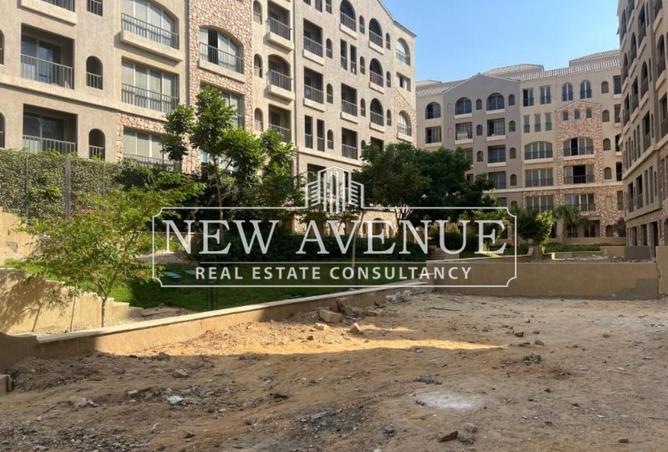 8293059 - Property Image 3