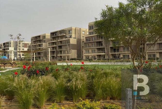 8155766 - Property Image 3