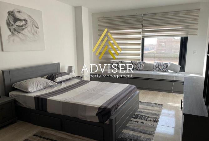 8150342 - Property Image 3