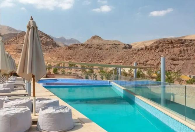 8000970 - صورة العقار 3