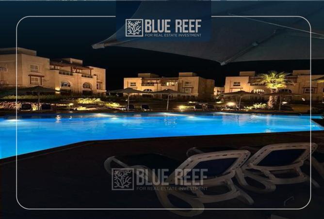 8298737 - Property Image 3