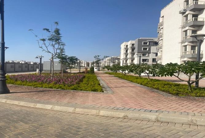 8141204 - Property Main Image