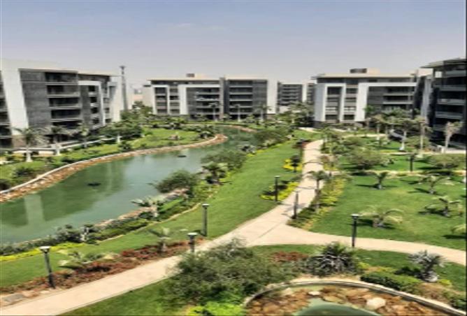 7992387 - صورة العقار 3