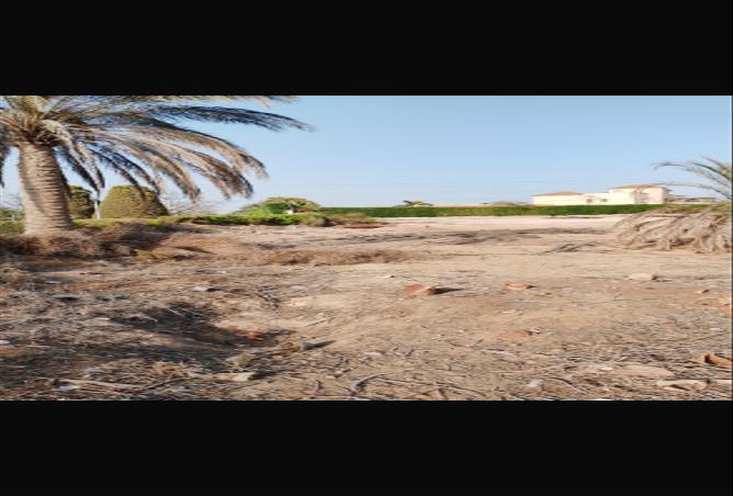 8407244 - صورة العقار 3