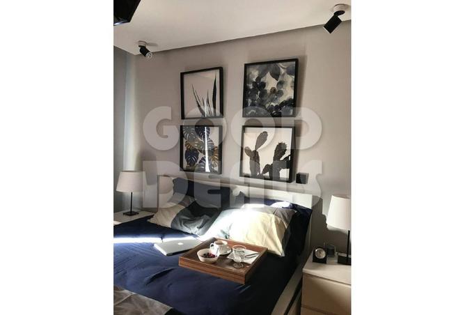 7914916 - Property Image 2