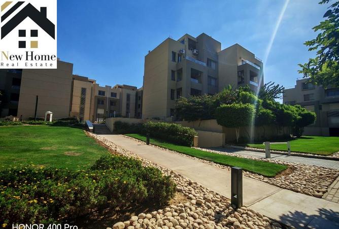 8163877 - صورة العقار 3