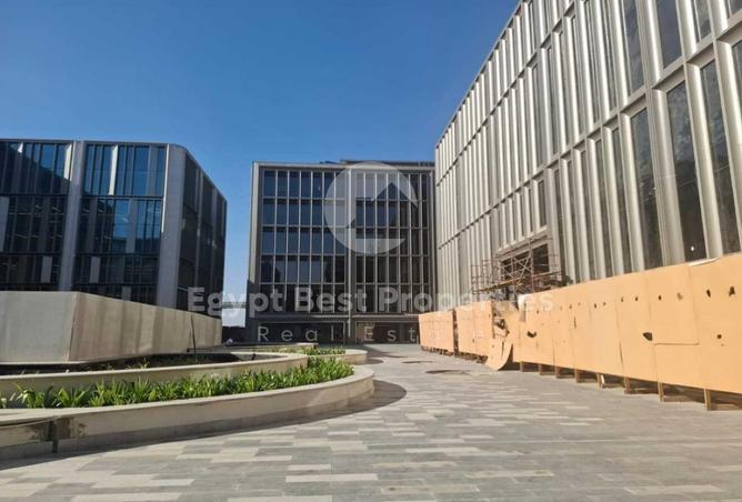 8391283 - Property Image 3