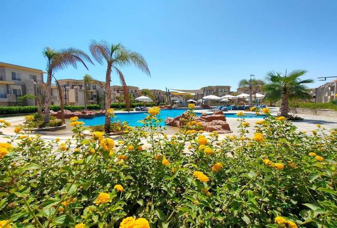 7991643 - صورة العقار 2