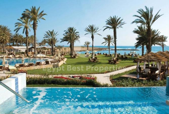 8475600 - Property Image 3