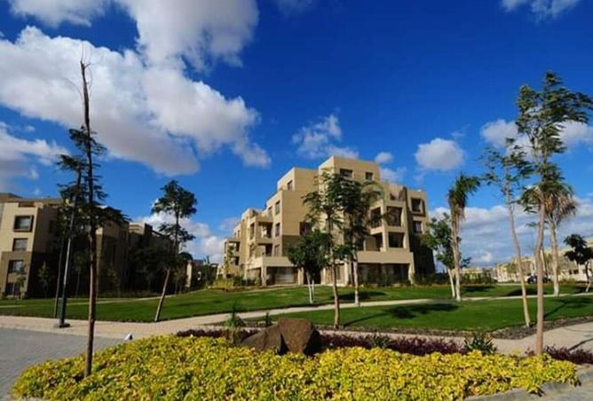 8147473 - صورة العقار 2