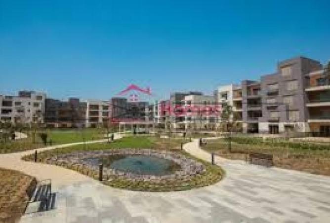 8310696 - صورة العقار 3