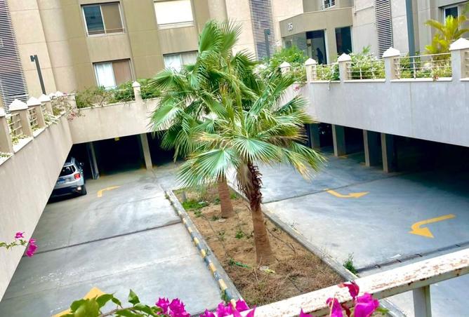 8024908 - صورة العقار 2