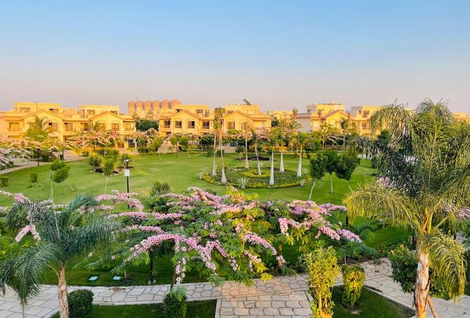 8397779 - صورة العقار 3