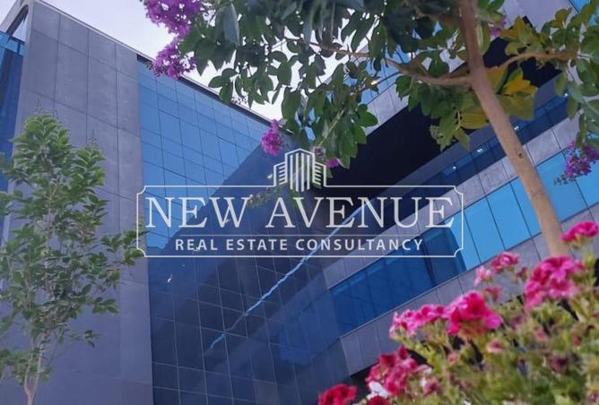 8191298 - Property Image 3