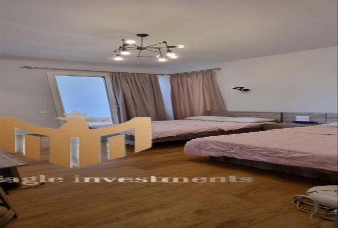 7895013 - Property Image 3