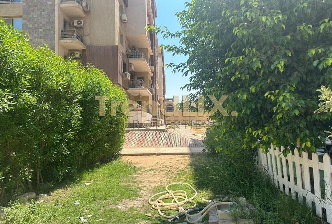 8006093 - Property Image 3