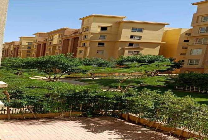 8064442 - صورة العقار 3