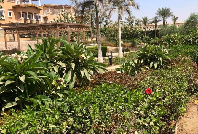 8285361 - Property Image 3