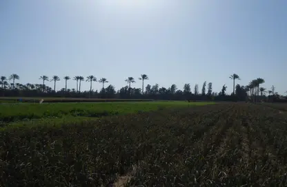 مزرعة - استوديو للبيع في طريق مصر اسكندرية الصحراوي - الجيزة