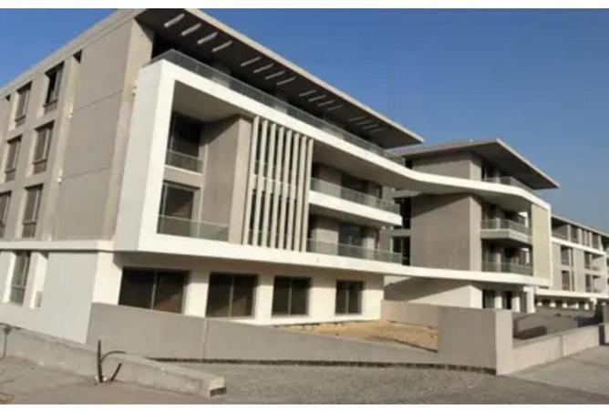 8041308 - Property Image 3