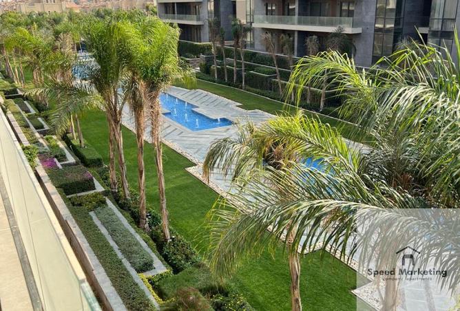 8385703 - Property Image 2