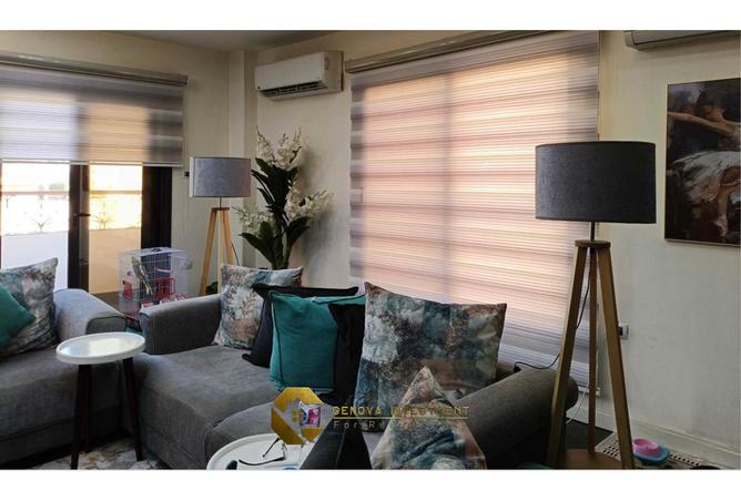 7982246 - Property Image 3